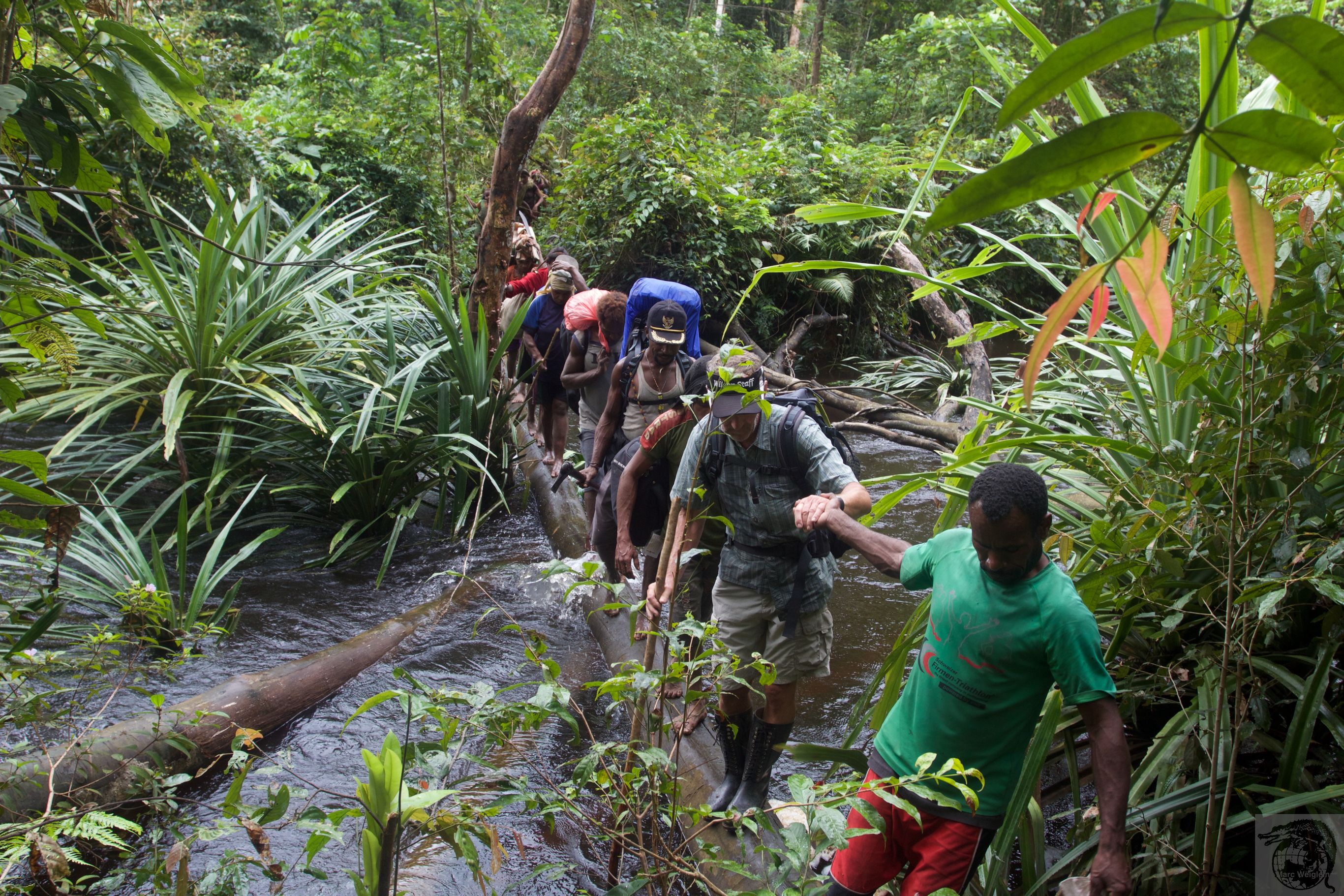 Primitieve Korowai trekking