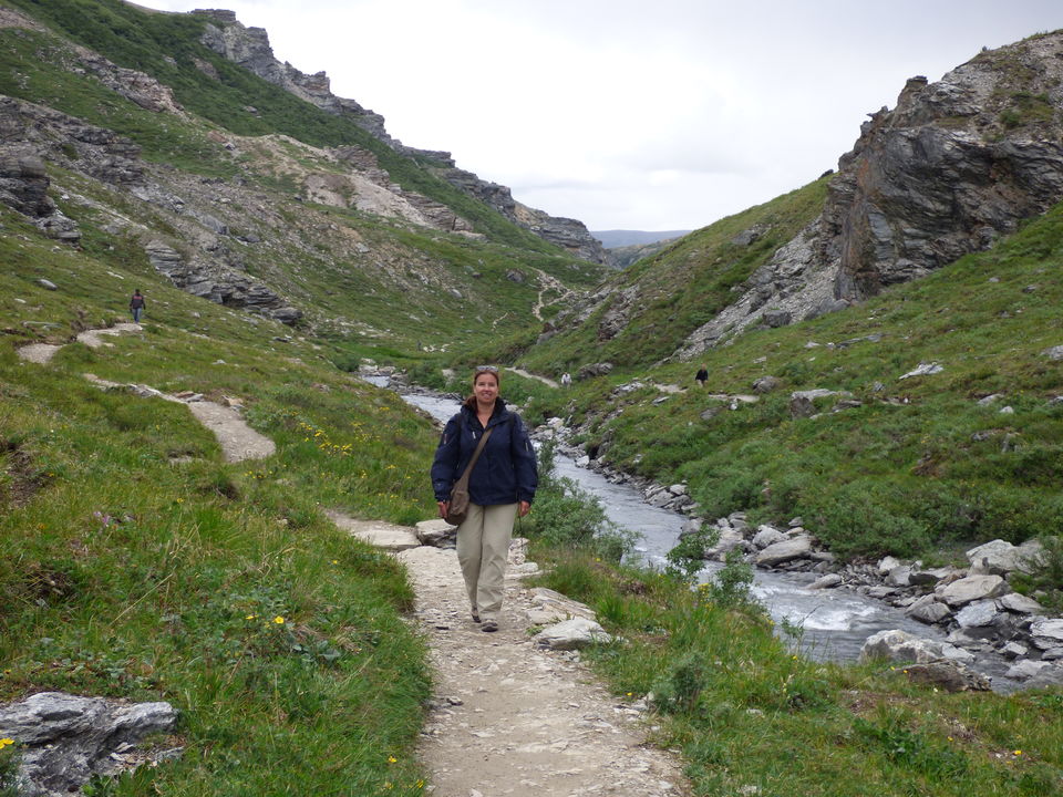 Wandelen in Denali National Park, Alaska, Amerika