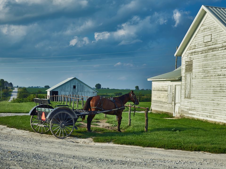 Paard en wagen van de Amish in Lancaster
