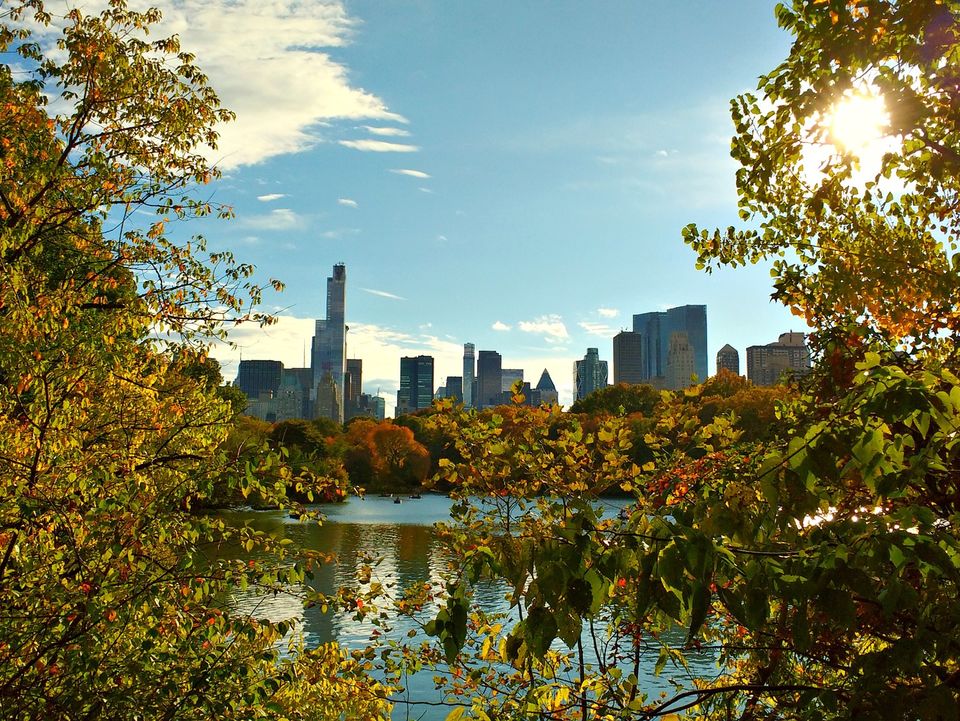 Amerika-New-York-Central-Park-1