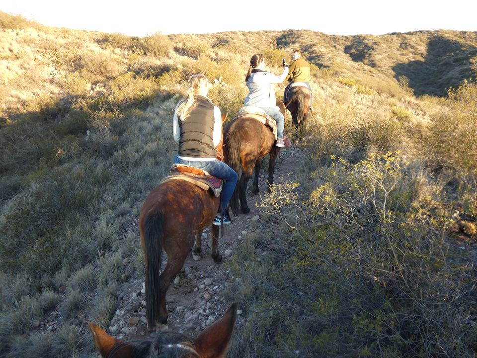 Te paard de heuvels van Mendoza op