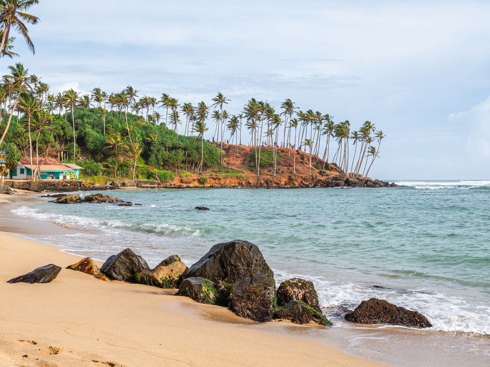 Een strand met rotsen en palmbomen in Arugam Bay