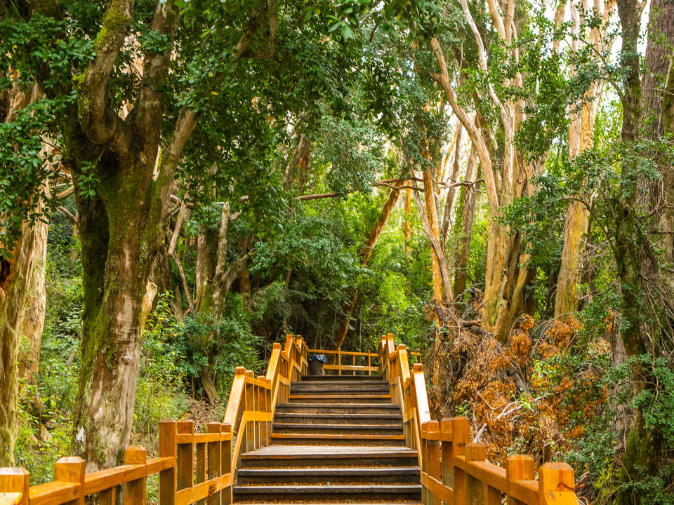 798455f1-080c-494b-b365-2084b3e4fc03