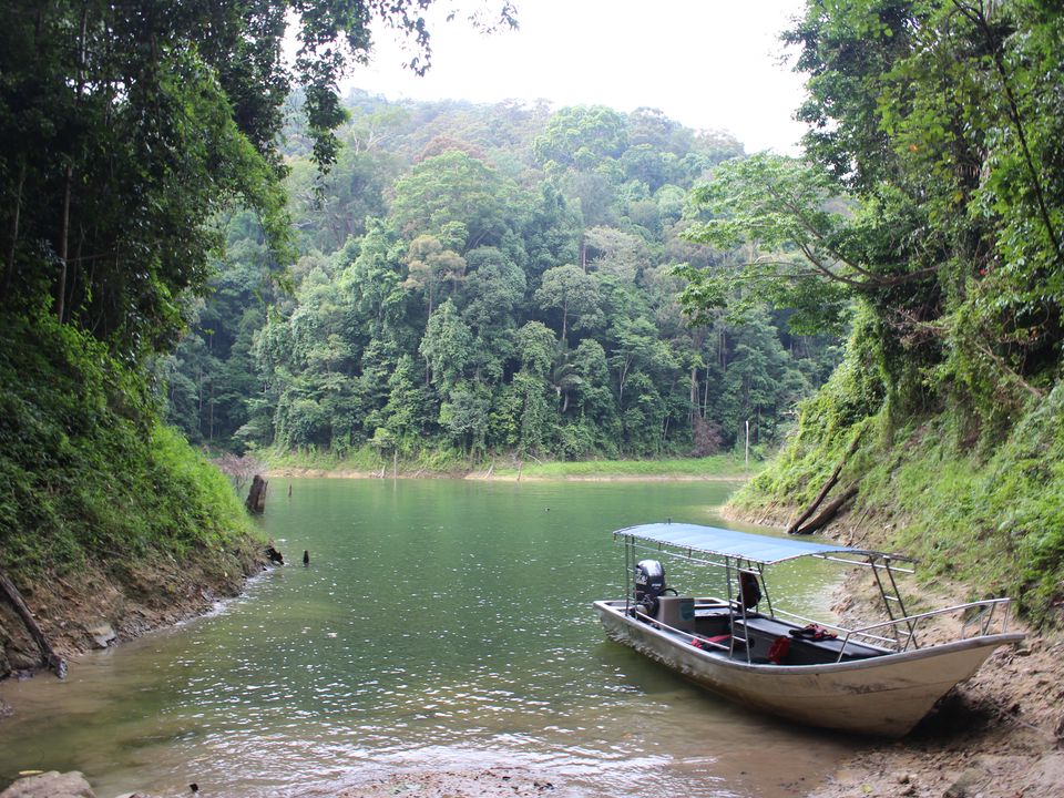 Belum-rainforest-bootje