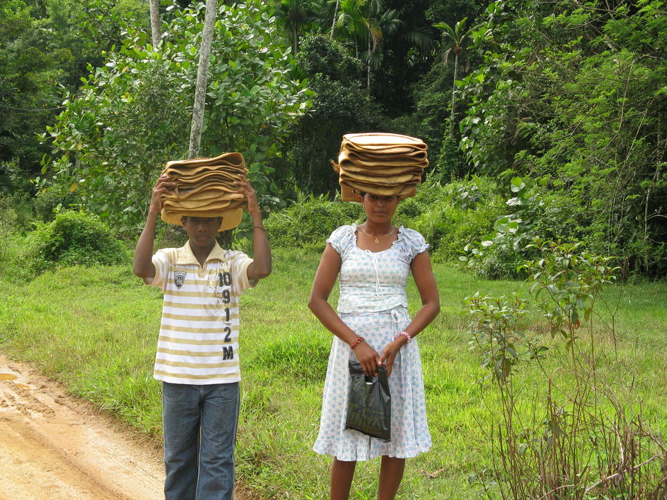 Bewoners van Bentota, Sri Lanka