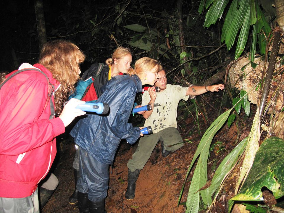 Dieren spotten in Boca Tapada, Costa Rica