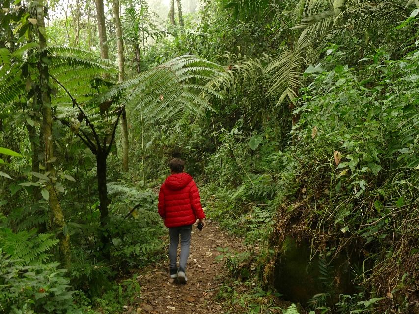 Maak een trekking door het Chicaque reservaat in Bogota