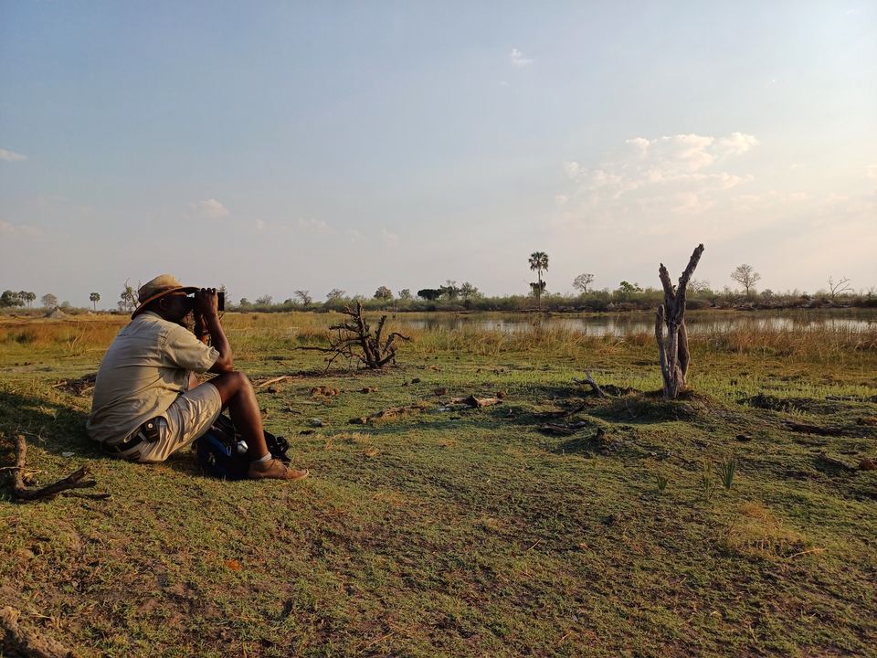 Botswana Okavango Delta