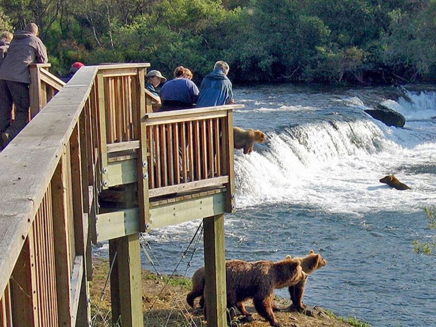 Brooks Falls, Katmai National Park, Alaska, Amerika