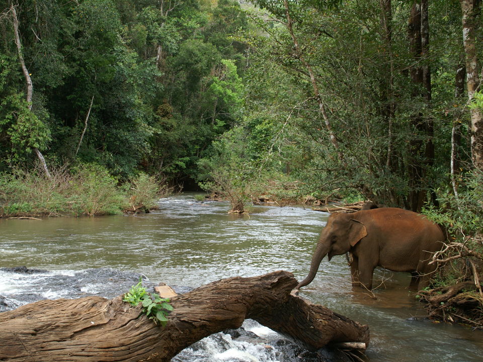 Op een verantwoorde manier kennismaken met olifanten kan bij het Elephant Valley Project