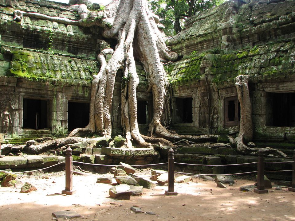 Cambodja-SiemReap-AngkorWat-boom(8)