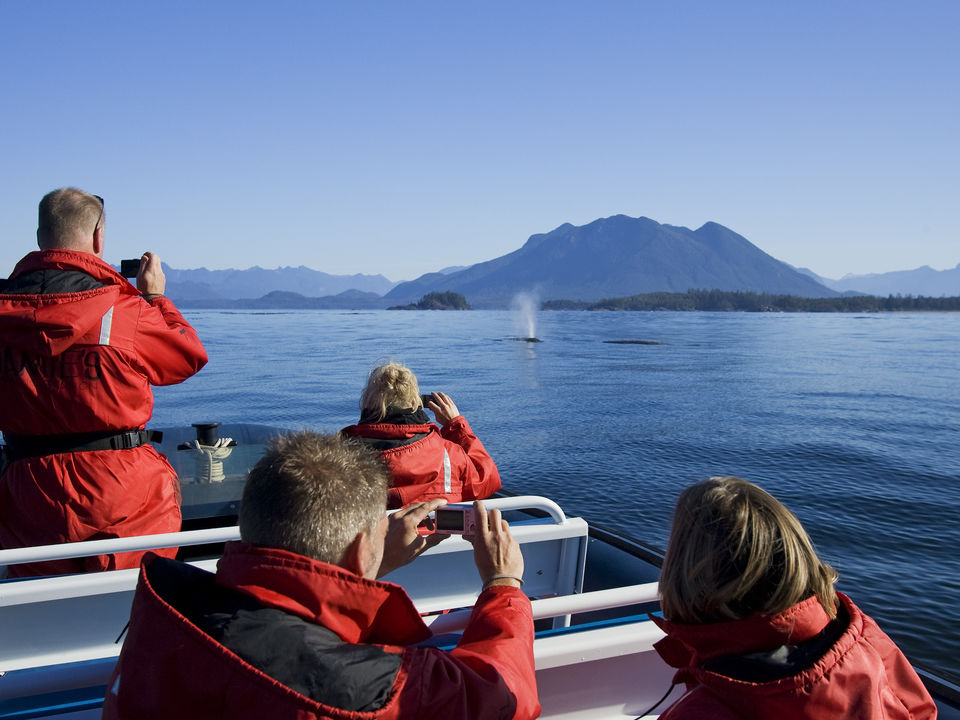 Canada-Tofino-Walvissen