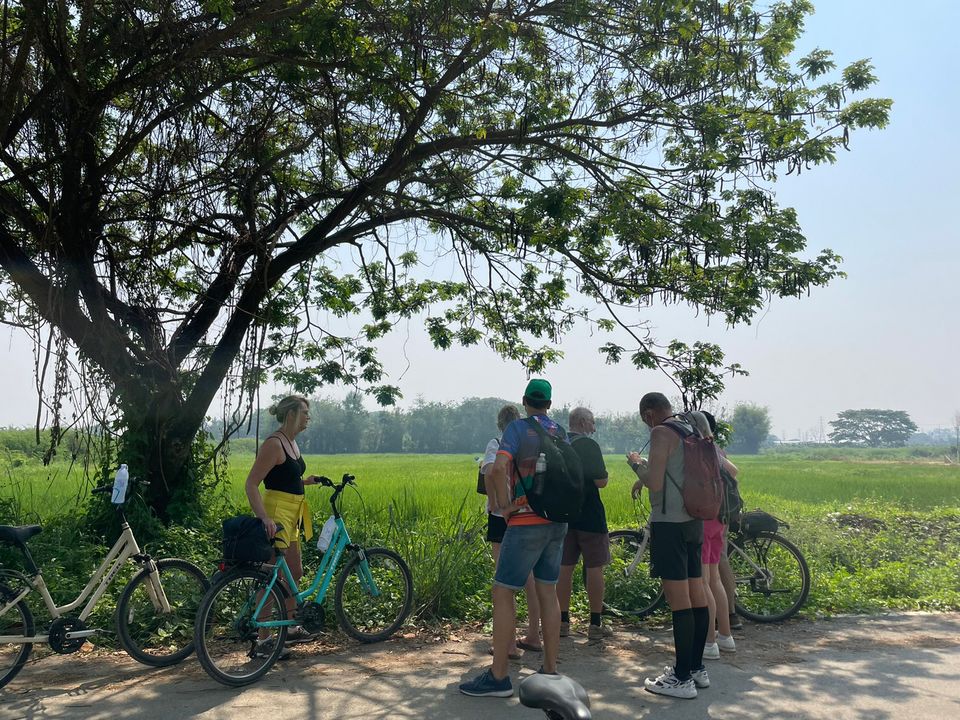 Fietsen in Chiang Mai, Thailand