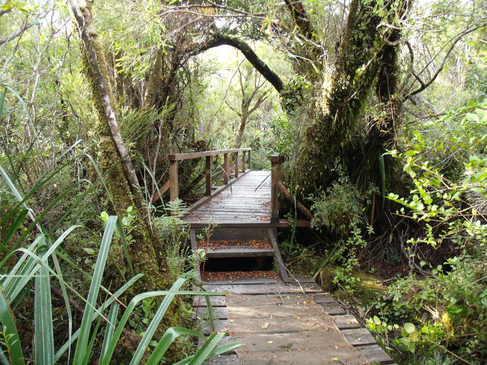Chili-Chiloe-Nationaal-Park_1_432733