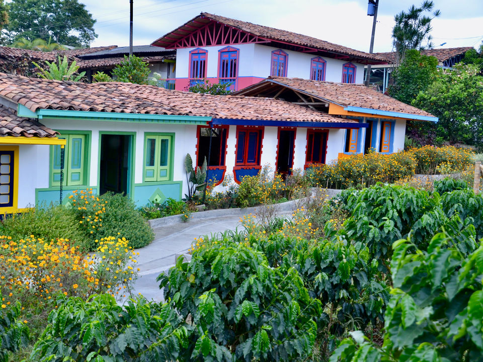 Colombia-Armenia-Quindio_2_483414