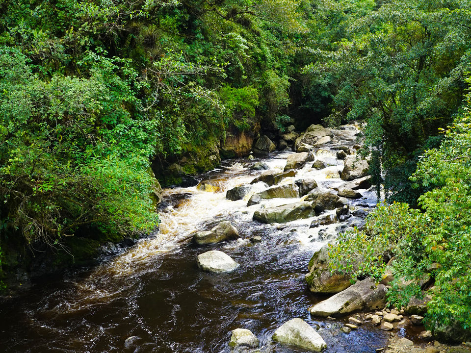 Meertje in het National Park Purace in Popayan