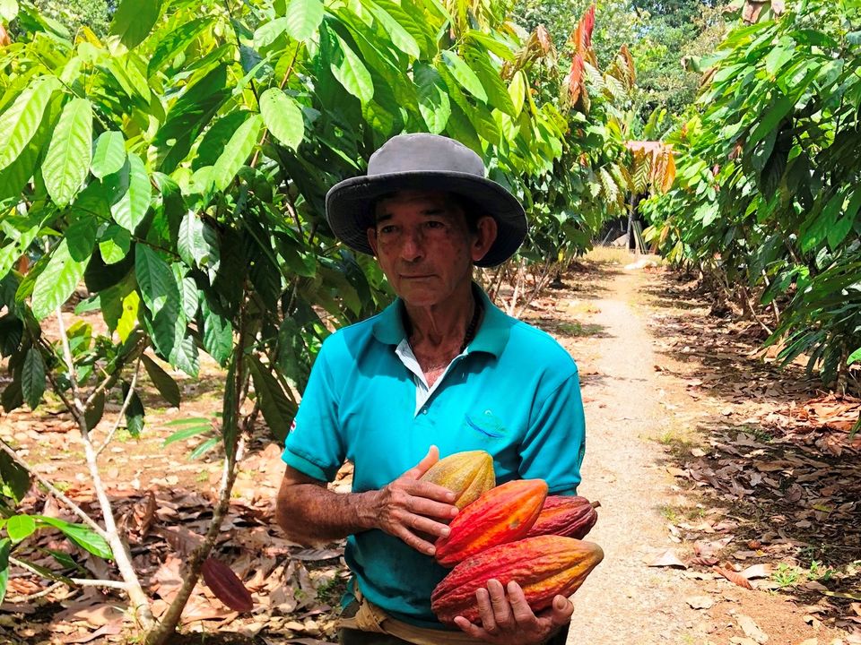 Boer met cacaobonen in Boca Tapada, Costa Rica