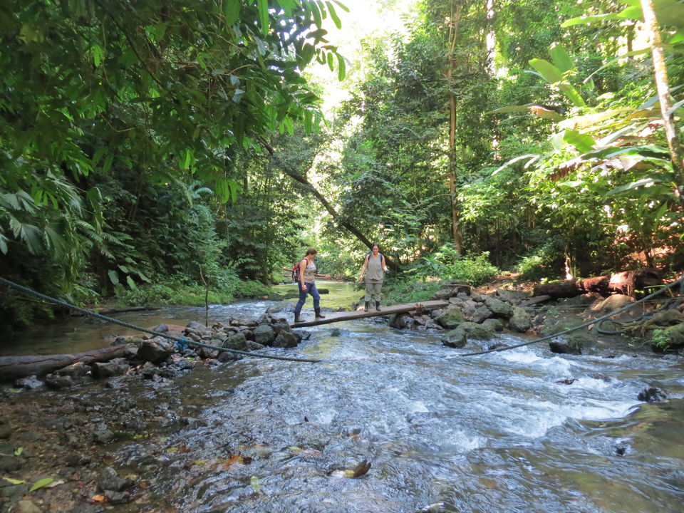 Costa-Rica-Corcovado-National-Park-1(3)