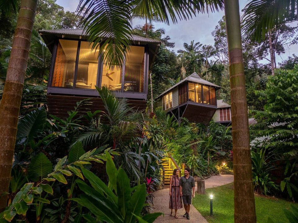 Verblijf in Daintree Rainforest, Australie