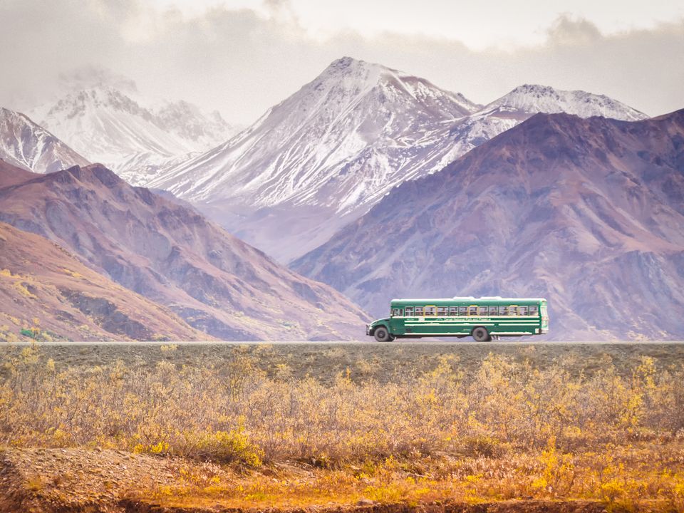 Bustour door Denali National Park, Alaska, Amerika