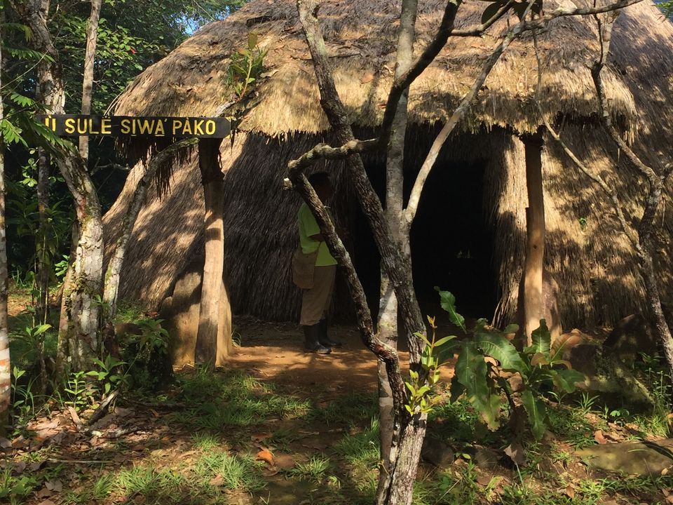 Huisje van de BriBri bevolking