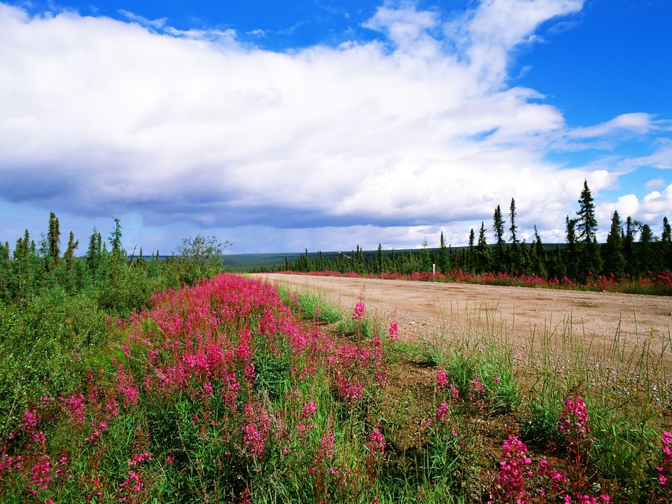 Over de Dempster Highway naar Eagle Plains, Yukon, Canada