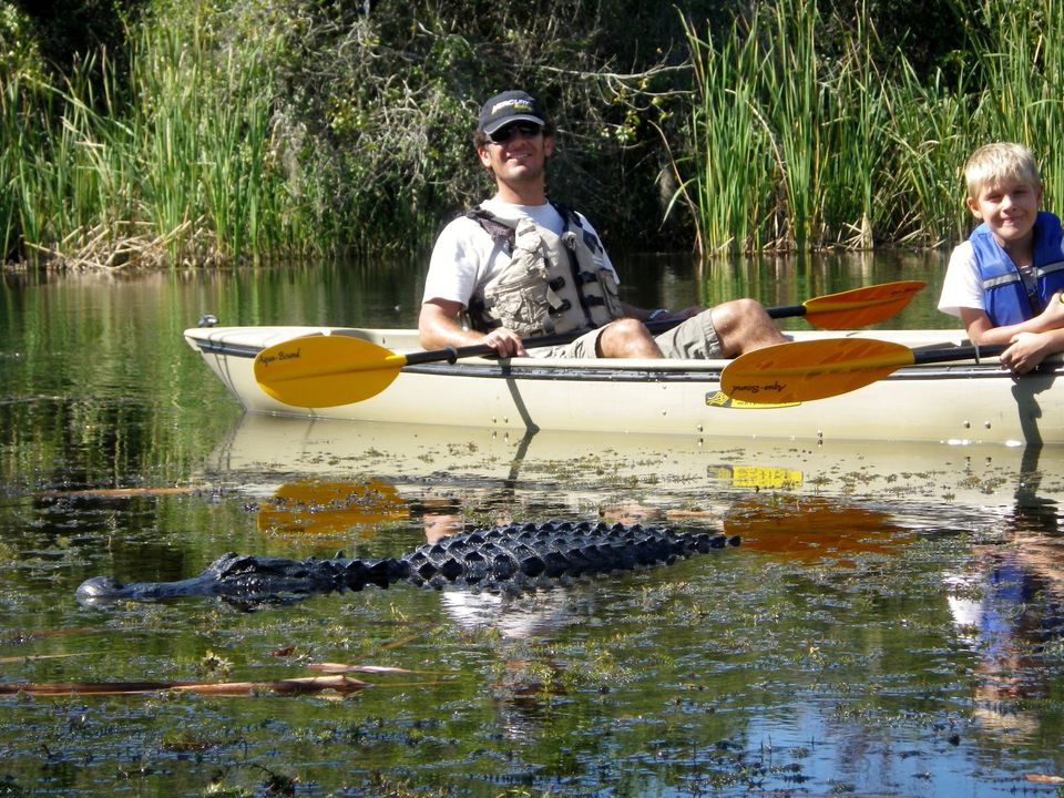 Kajakken in Everglades National Park