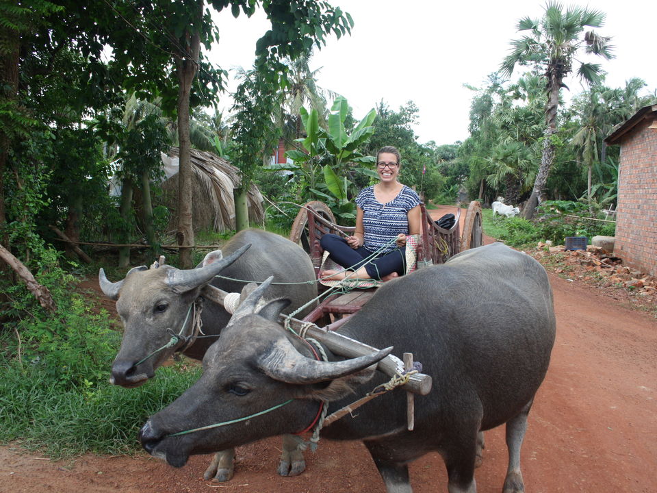 Excursie countryside