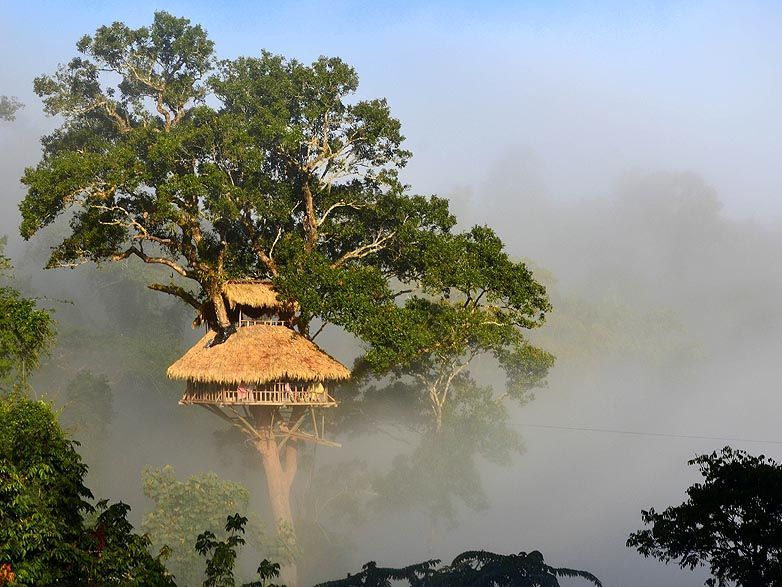 Een heerlijk gevoel om elke ochtend met zo'n uitzicht vanaf uw boomhut wakker te worden in Nam Kan National Park, Laos