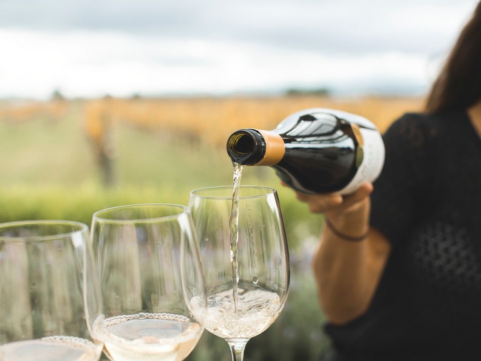 Wijnproeven in Nieuw-Zeeland kan maar al te goed tijdens een wijntour