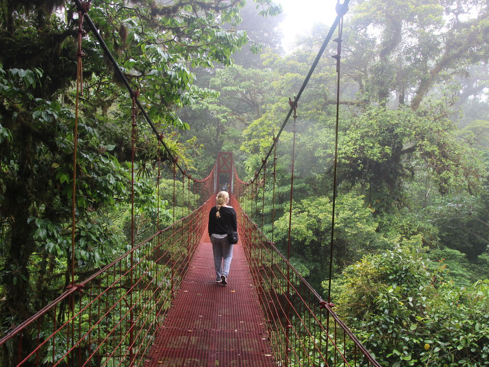 Hangbrug-Monteverde-2(11)