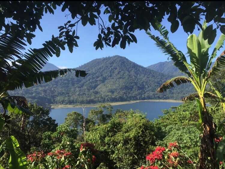 Mooie groene omgeving in Munduk