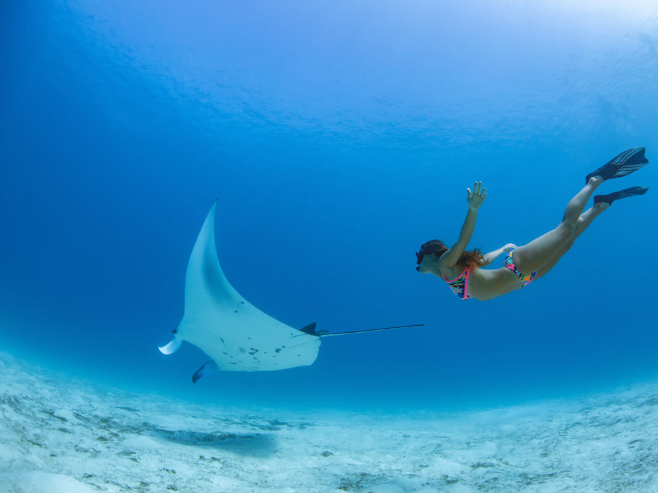 Oog in oog met een mantarog tijdens het snorkelen