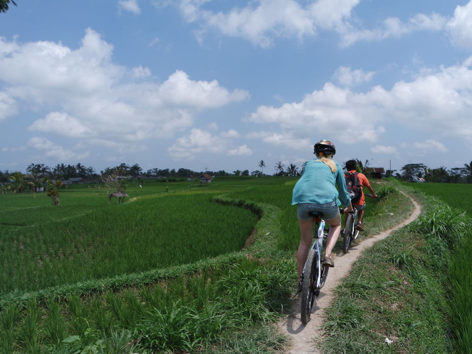 Indonesie-Bali-Ubud-fietsen