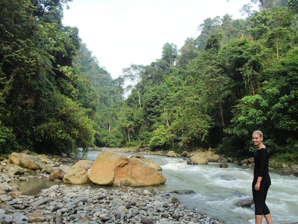 Indonesie-Sumatra-Bukit-Lawang-lisanne_1_466719
