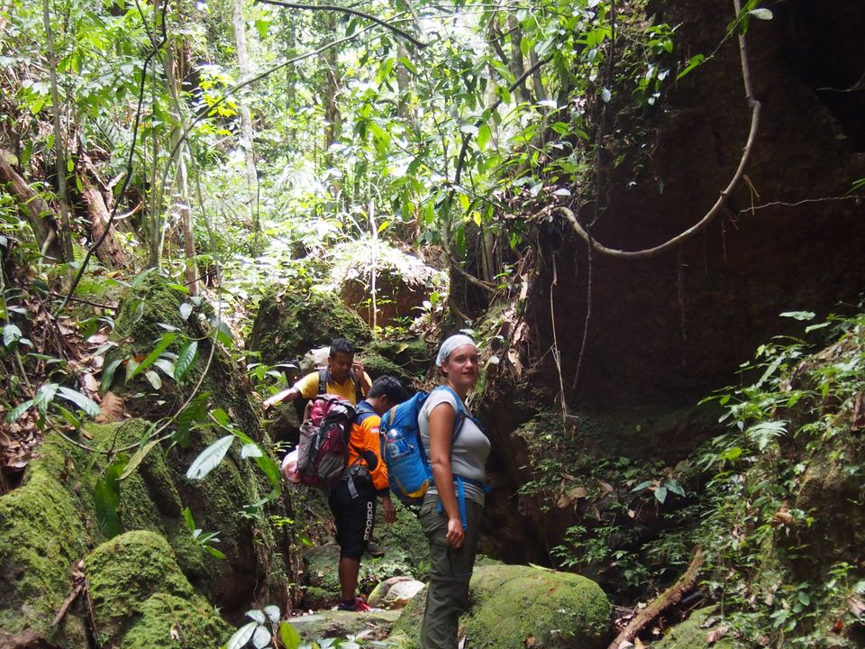 Trekking door de jungle van de Harauvallei op Sumatra, Indonesië