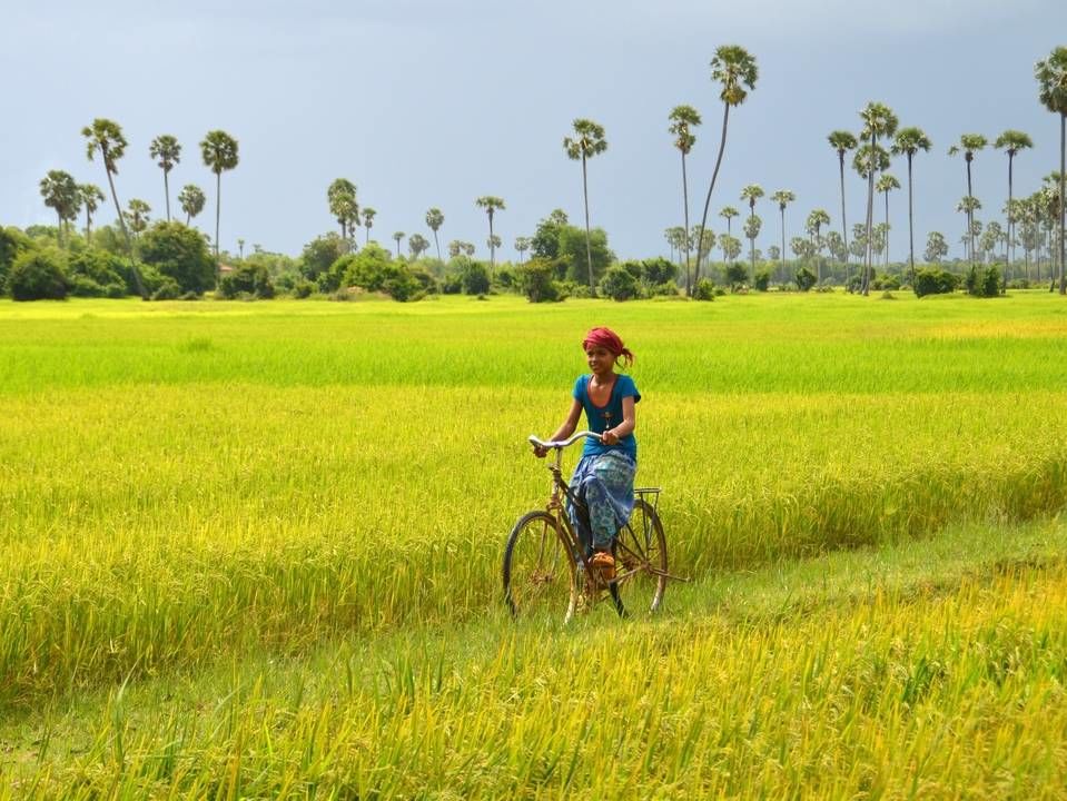 Local die fietst in Cambodja
