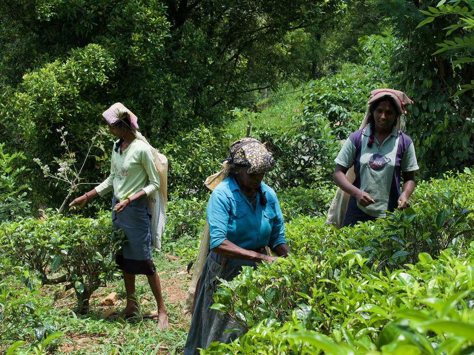 Homestay op het platteland in Kandy