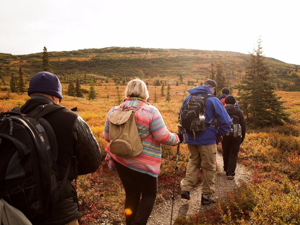 Hike bij Kantishna Roadhouse in Denali National Park, Alaska
