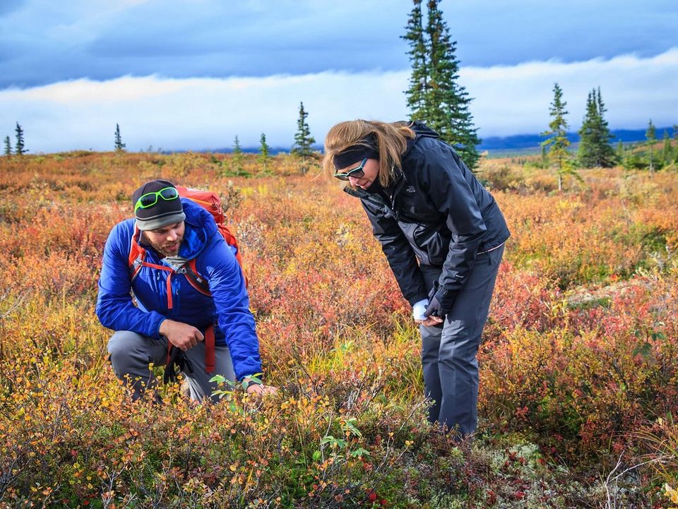 Met een gids op pad bij Kantishna Roadhouse, Alaska