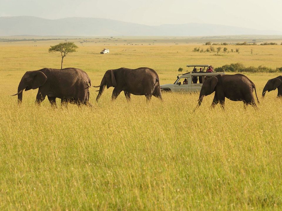 Maak een safari met een jeep door het Masai Mara National Reserve