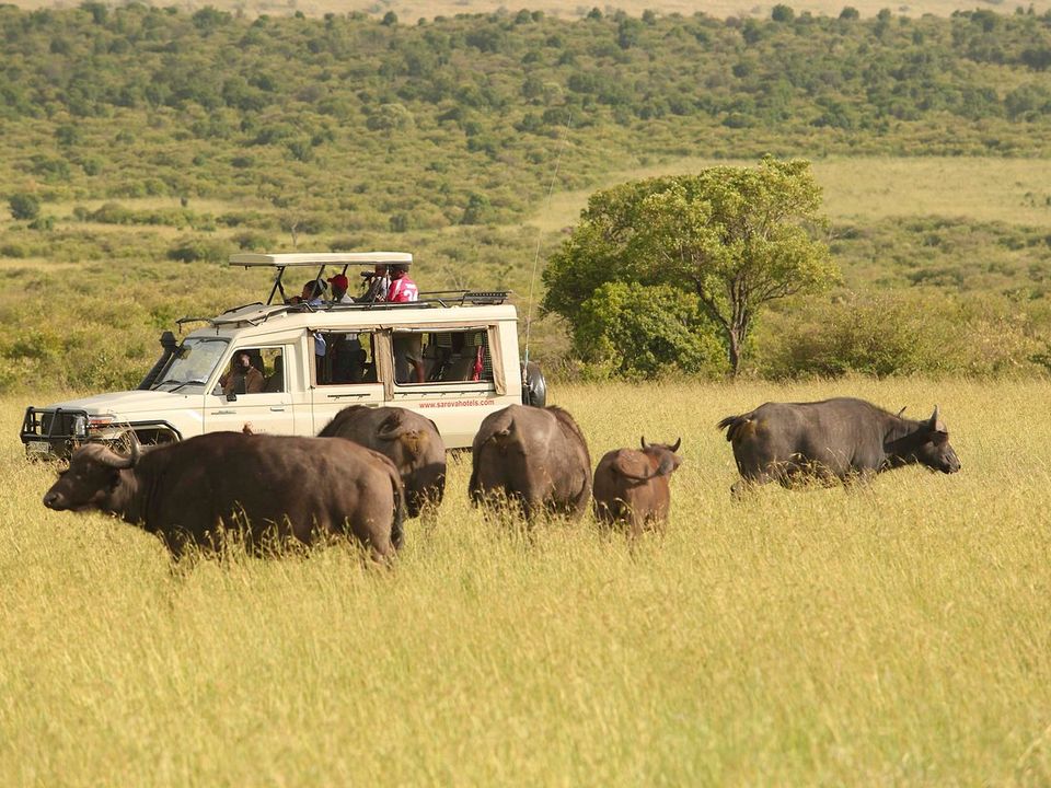 Op safari in Masai Mara National Reserve in Kenia