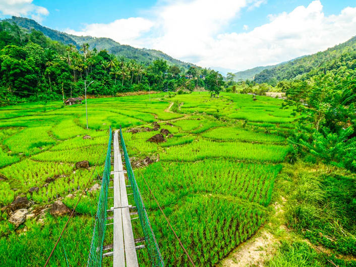Slaap op Kiulu farmstay