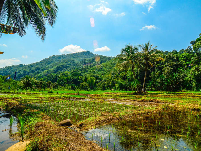 Slapen op een farmstay in Kiulu, Maleisië