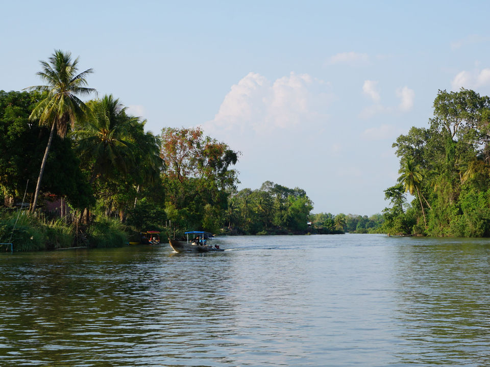 Het uitzicht vanaf de cruise over de Mekongdelta