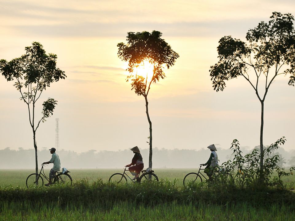 Proef van het lokale leven in het mooie Hoi An