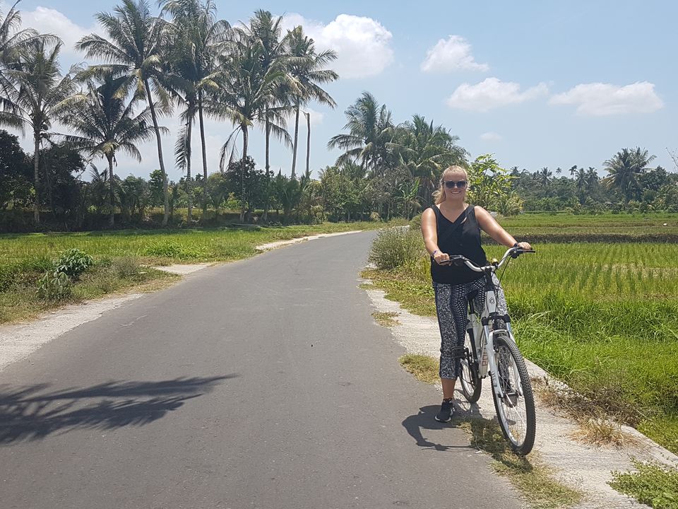 Fietsen tussen de groene rijstvelden van Senggigi
