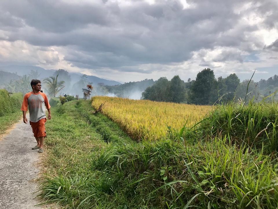 Maak wandelingen in de omgeving van Munduk.