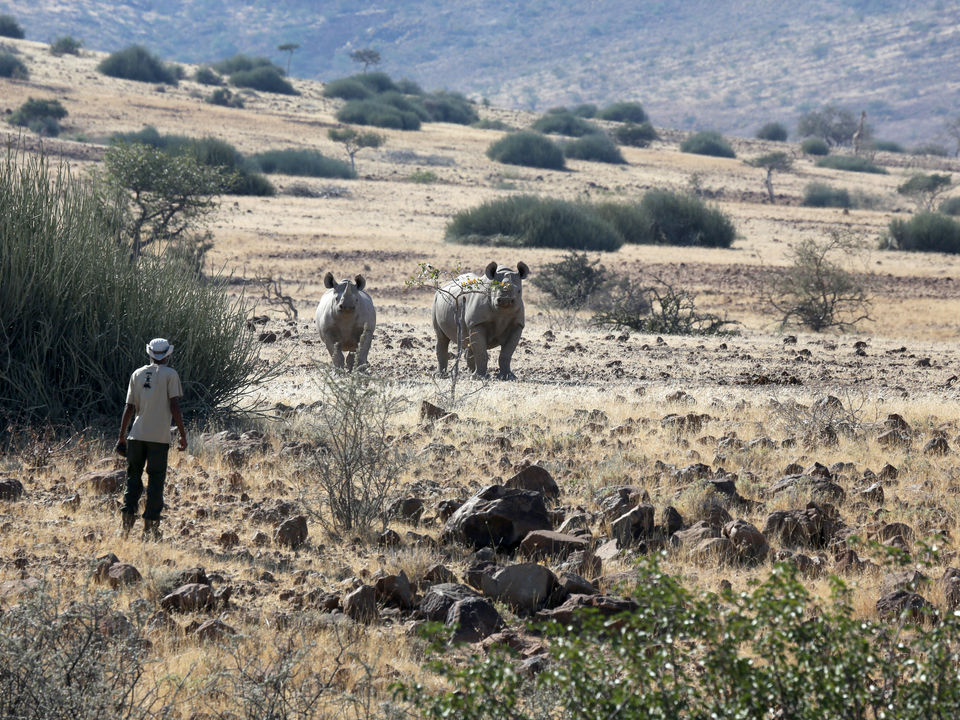 Namibie-Palmwag-Rhino-Trekking(8)
