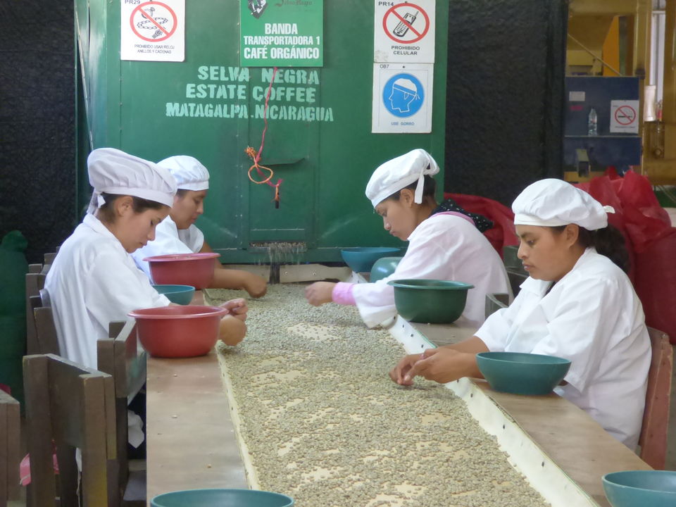 Nicaragua-Matagalpa-Selva-Negra-koffietour